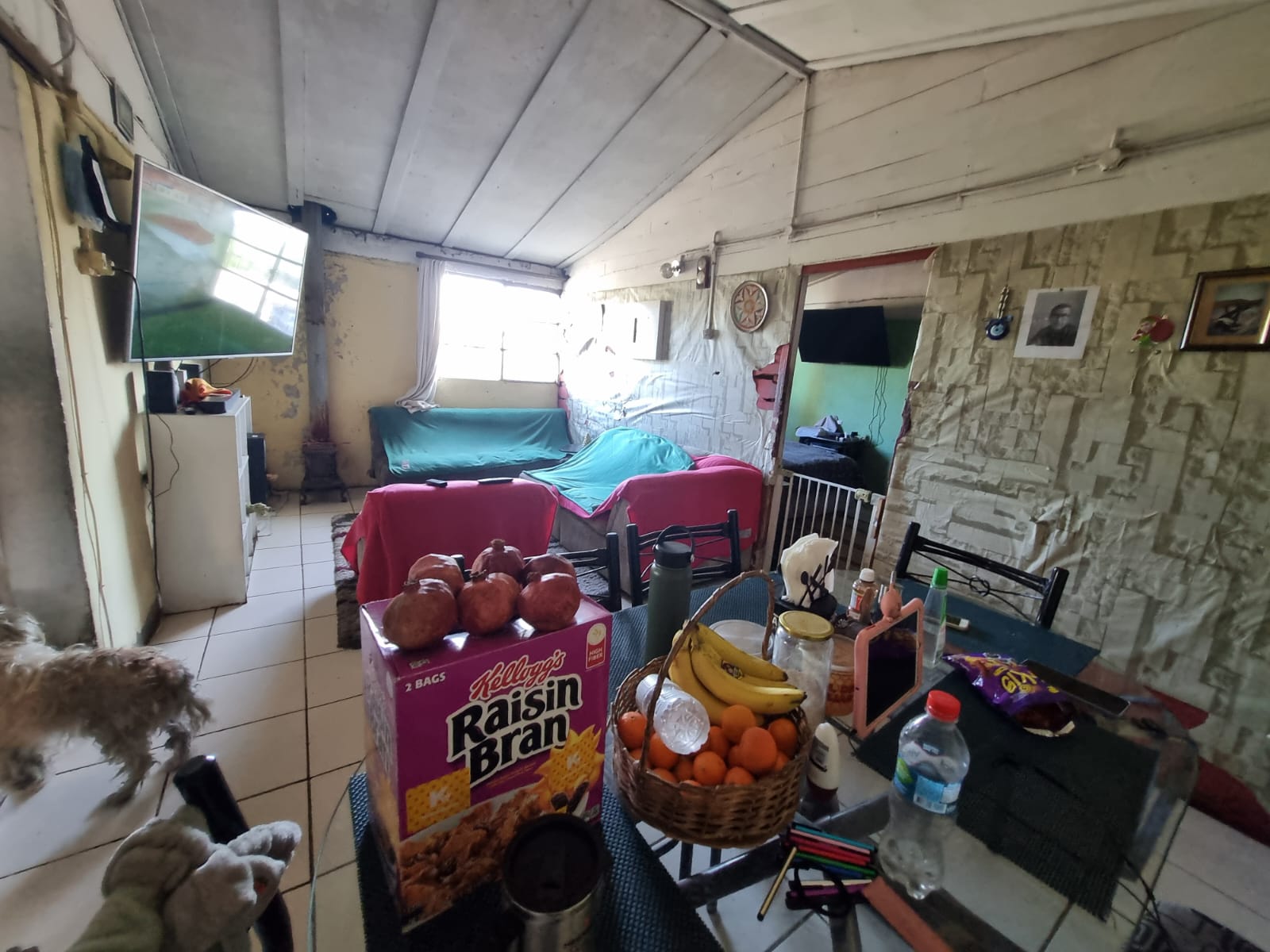 Foto 5