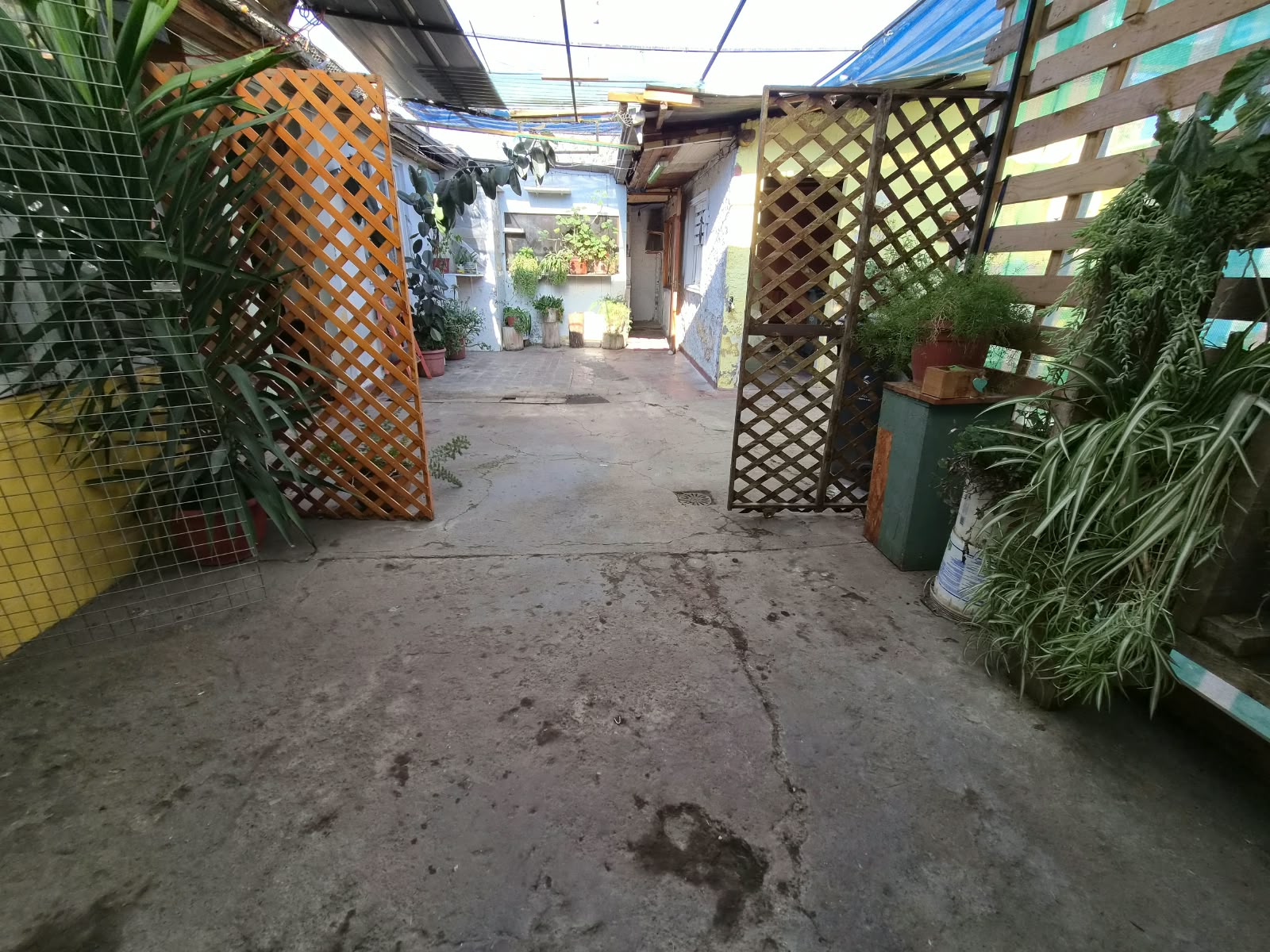 Foto 12