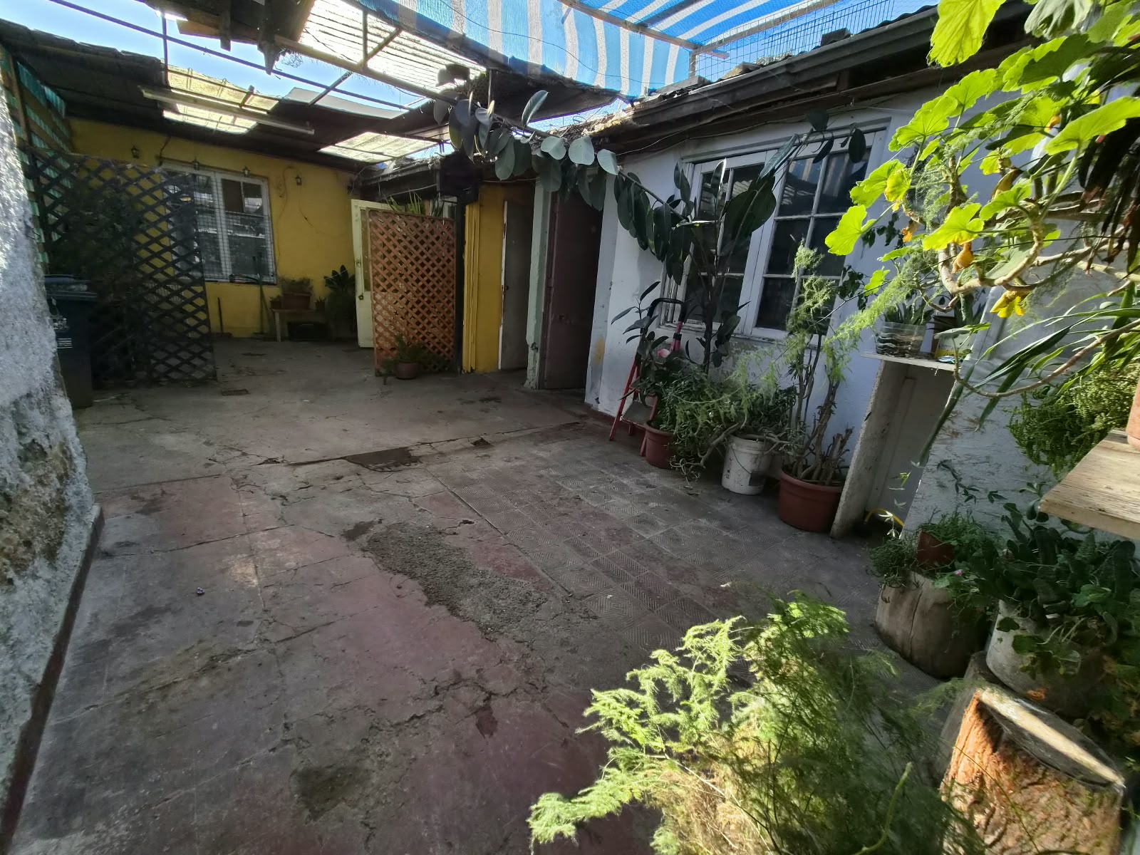 Foto 15